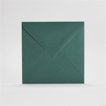 Enveloppe Verte Standard (DL) 