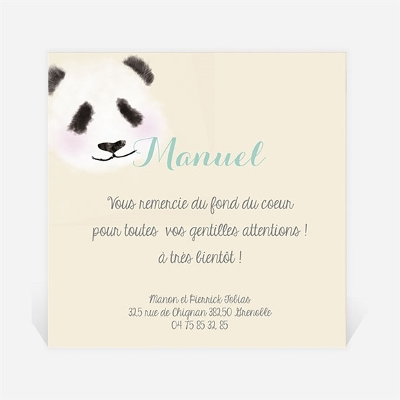 Remerciement naissance Petit Panda réf.N300223