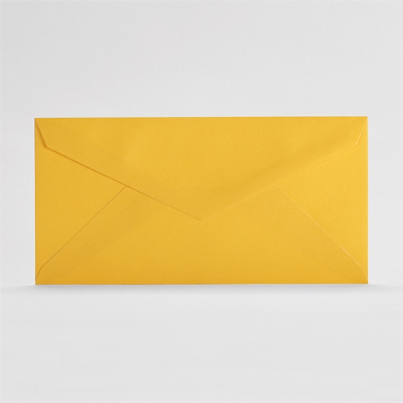 Enveloppe Longue – 11 x 22 cm – Sans fenêtre – juriprint