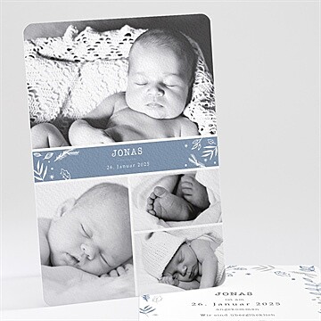 Geburtskarte Ref. N241151