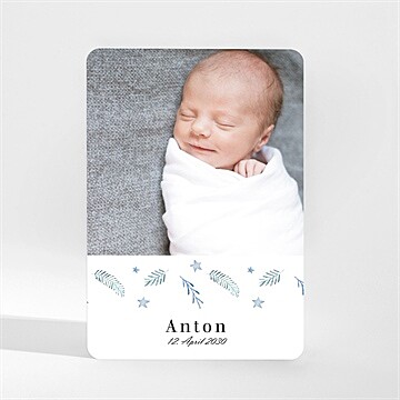 Geburtskarte Ref. N210110