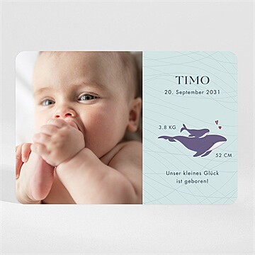 Geburtskarte ref. N110174