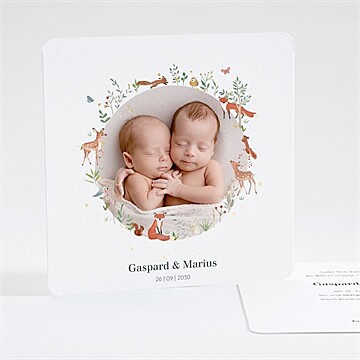 Geburtskarte ref. N351414