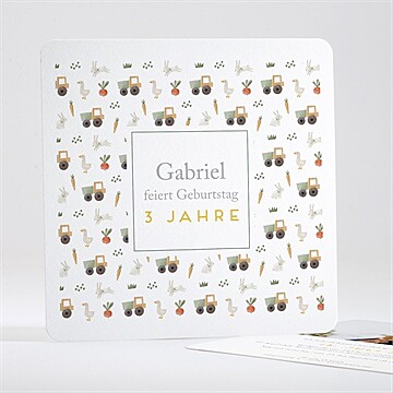 Geburtstagseinladung Ref. N351480