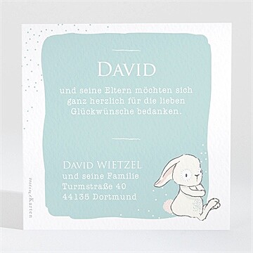 Dankeskarte Geburt Ref. N3001385