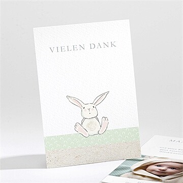 Dankeskarte Geburt ref. N211153