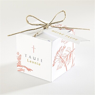Geschenkbox Taufe Ref. N340170