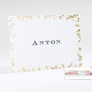 Geburtskarte Ref. N18111