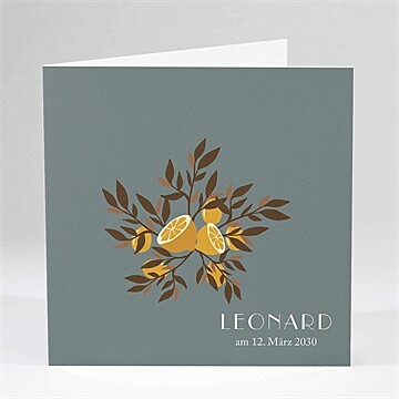Geburtskarte Ref. N451210