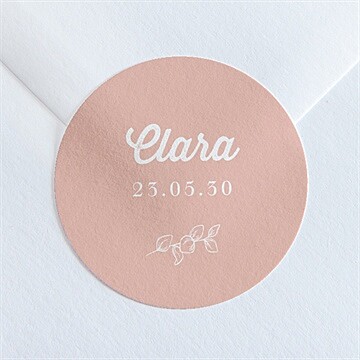 Sticker Geburt ref. N360127