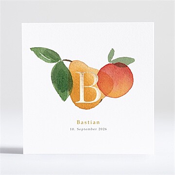 Geburtskarte Ref. N351165