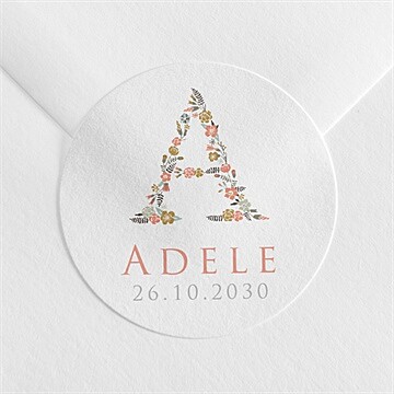 Sticker Geburt ref. N360936