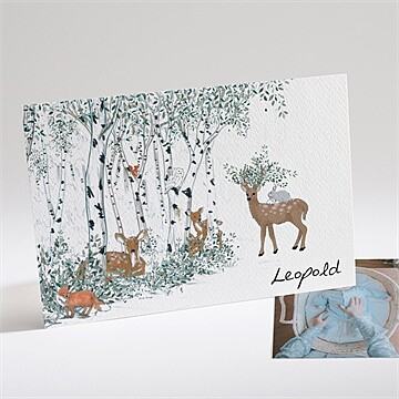 Geburtskarte Ref. N14198