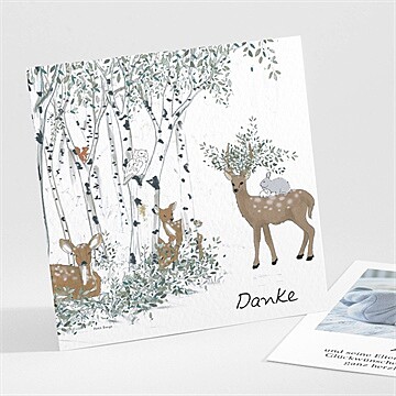 Dankeskarte Geburt Ref. N301290