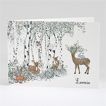 Geburtskarte Ref. N42136