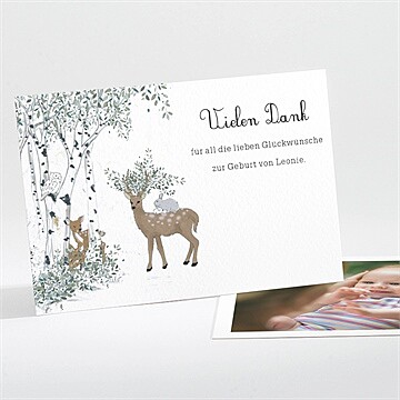Dankeskarte Geburt Ref. N111291