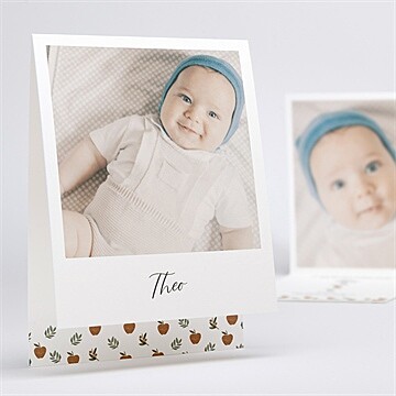 Geburtskarte ref. N50171