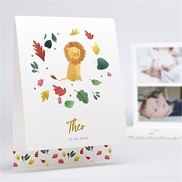 Geburtskarte ref. N50167