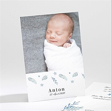 Geburtskarte Ref. N211392