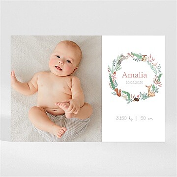 Geburtskarte ref. N110124