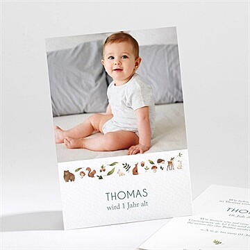 Geburtstagseinladung Ref. N211616