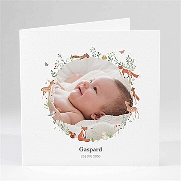 Geburtskarte Ref. N451393