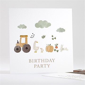 Geburtstagseinladung Ref. N351475