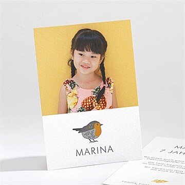 Geburtstagseinladung Ref. N211259