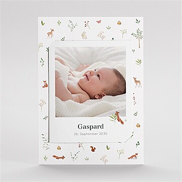 Geburtskarte ref. N23130