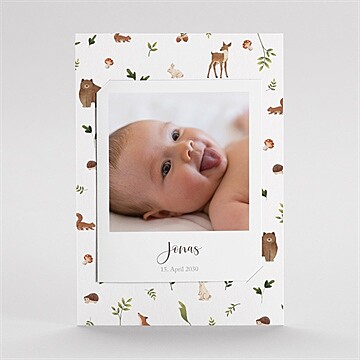 Geburtskarte Ref. N23120