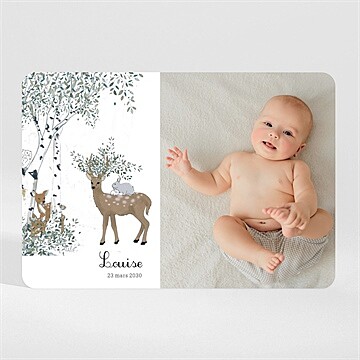 Faire-part naissance ma petite clairière magnet