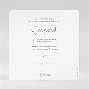 Faire-part naissance famille renard - Dos du faire-part