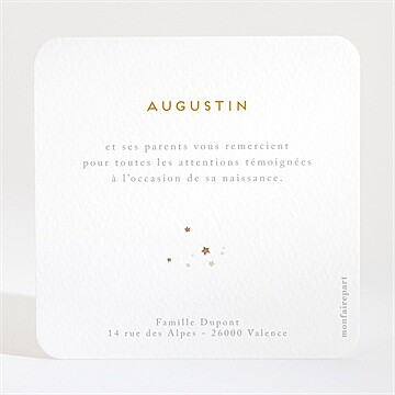 Remerciement naissance cigogne - Dos de la carte