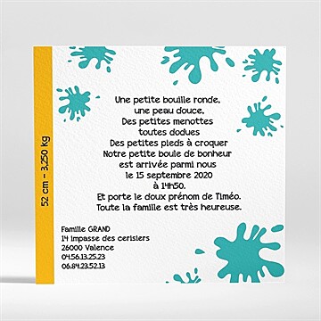 Faire-part naissance notre petit monstre - Dos du faire-part