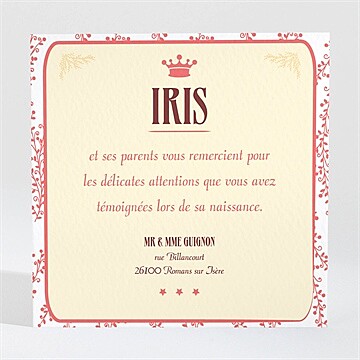 Remerciement naissance petit seigneur