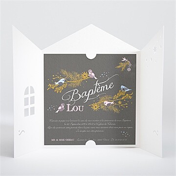 Faire-part de baptême annonce surprise - Intérieur de la pochette