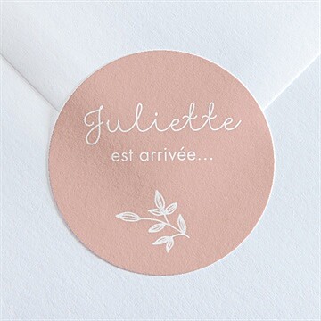 Sticker naissance simple cadre et photo