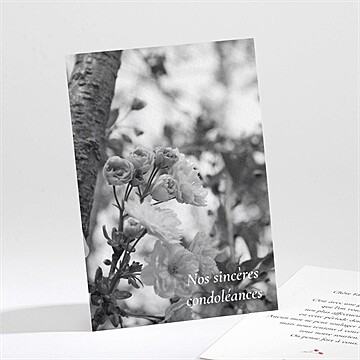Carte de condoléances décès en image