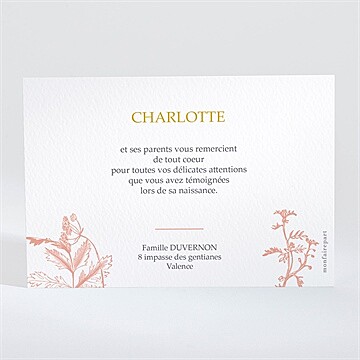 Remerciement naissance notre joie - Dos de la carte