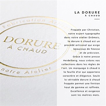 Faire-part mariage tropiques initiales - Vue explicative