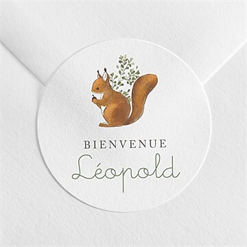 Sticker naissance écureuil