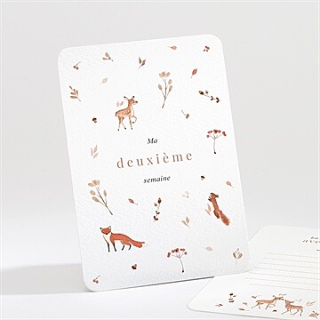 Carte étape bébé animaux forêt - Mise en situation