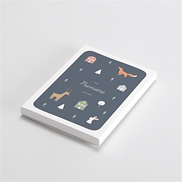Carte étape bébé animaux hiver - Vue de la boîte