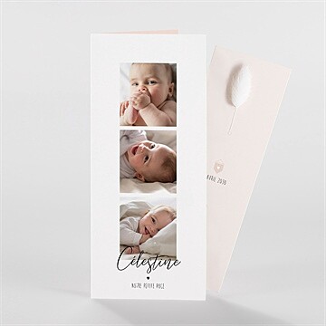 Faire-part naissance petit chéri fleur séchée