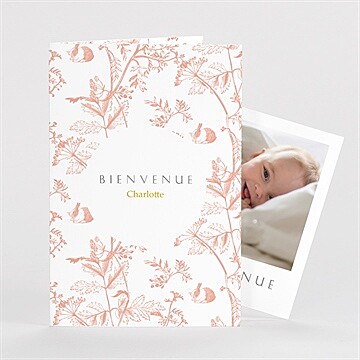 Faire-part naissance notre joie plié duo