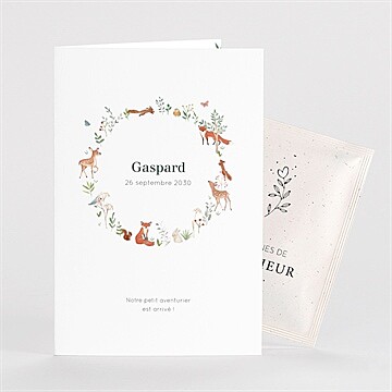 Faire-part naissance gaiement avec graines