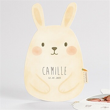 Faire-part naissance lapin mondoudou