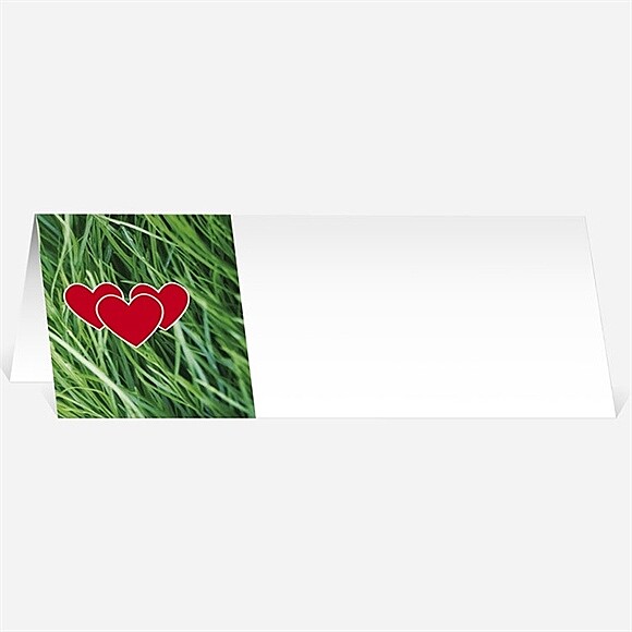 Marque-place mariage Notre Terrain de Football réf.N440248