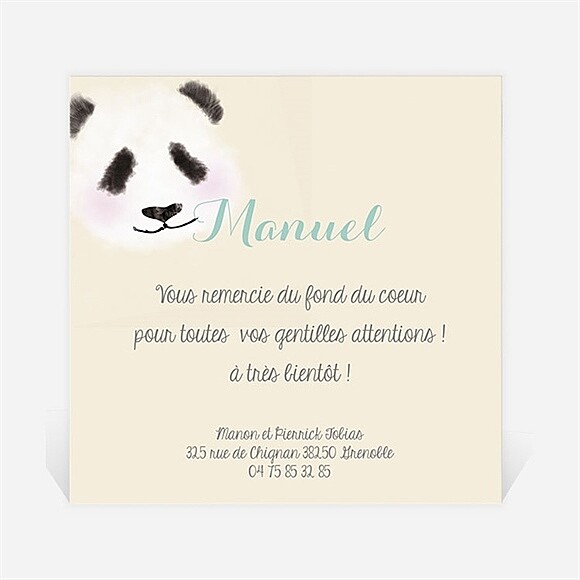 Remerciement naissance Petit Panda réf.N300223