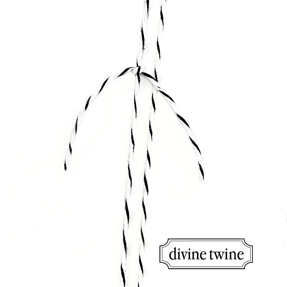 Détail de la ficelle